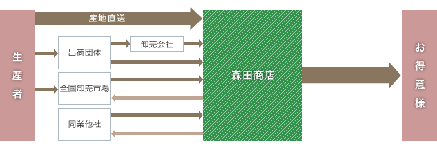 森田商店の流通網イメージ